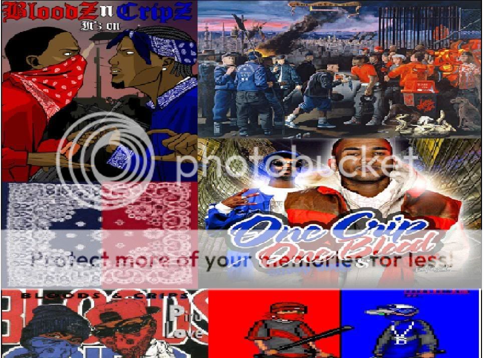 Crips And Bloods Photo by sage559 Photobucket